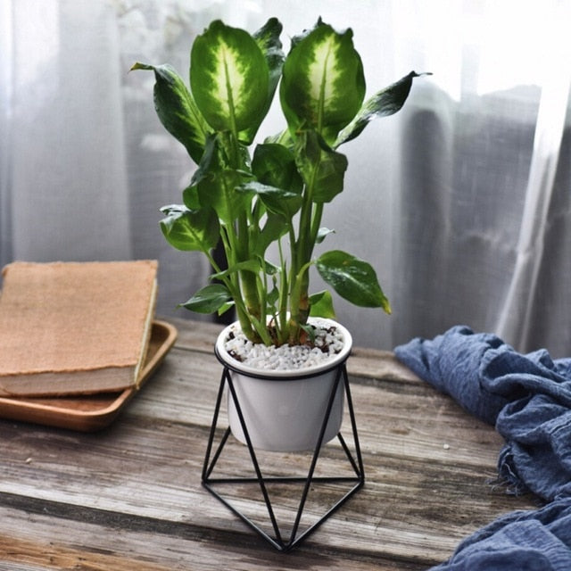 ceramic plant pot and stand Ceramic Planter with Geometric Stand – HORTITOITY