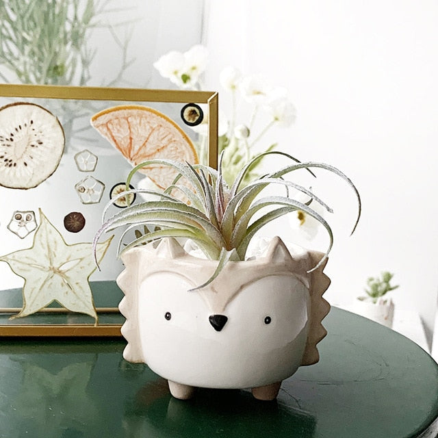 animal plant pot Adorable Animal Flower pot – HORTITOITY