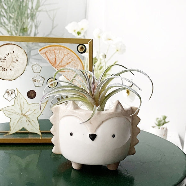 Adorable Animal Flower pot